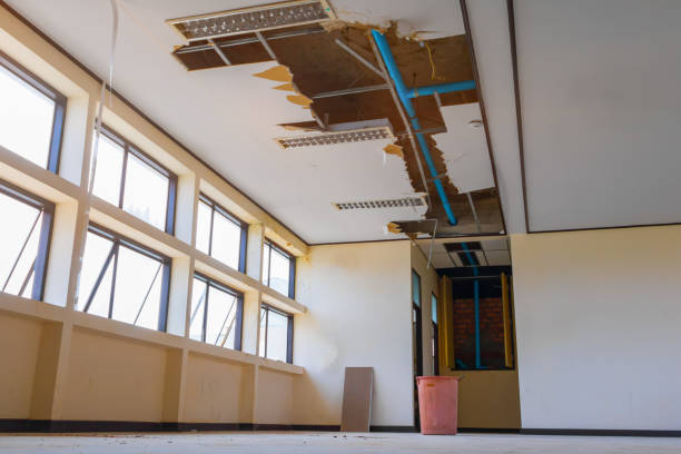 Best Water damage cleanup near me  in Ansonia, CT