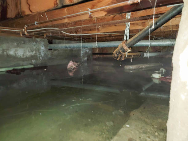  Ansonia, CT Water damage restoration Pros