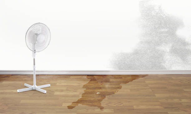Reliable Ansonia, CT Water damage restoration Solutions