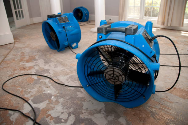 Best Flooded house restoration  in Ansonia, CT