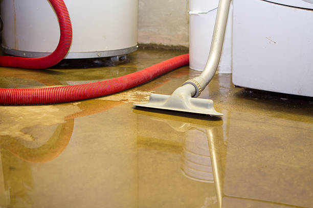 Best Water damage restoration company  in Ansonia, CT