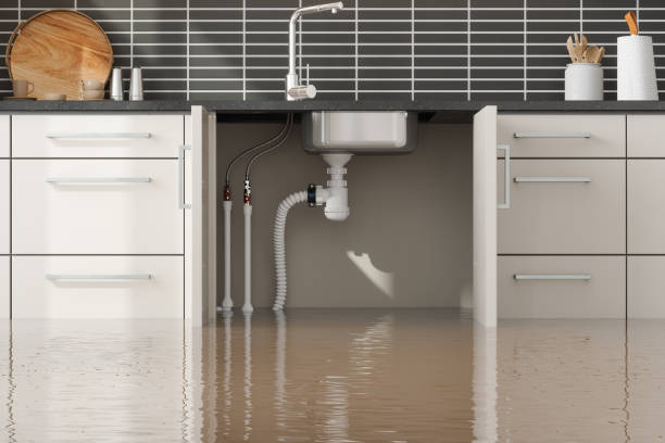 Water damage restoration insurance claims in Ansonia, CT