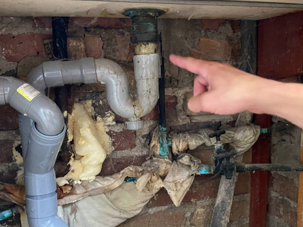 Best Fire Damage Restoration  in Ansonia, CT